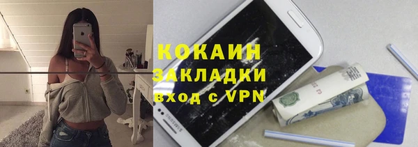 молекула духа Лагань