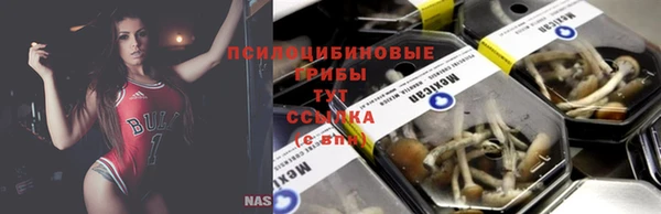стафф Абдулино