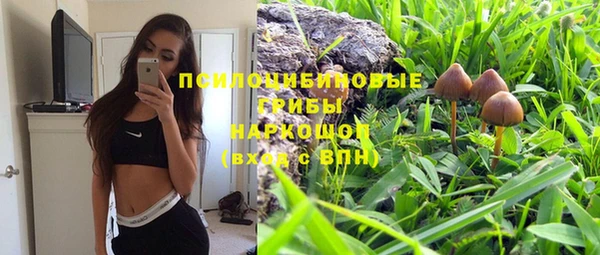 мяу мяу мука Лабытнанги