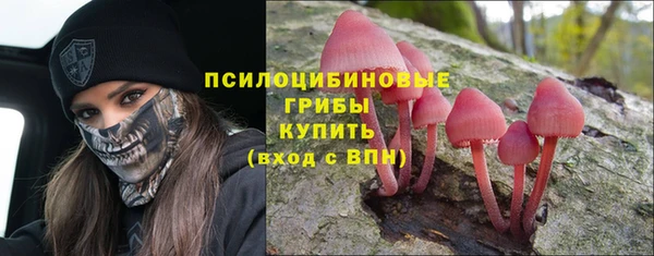 скорость Ладушкин